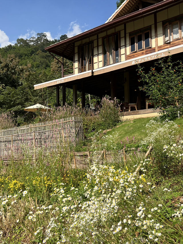 Mori Natural Farm ฟาร์มไตล์ญี่ปุ่น น่ารักมากกกก