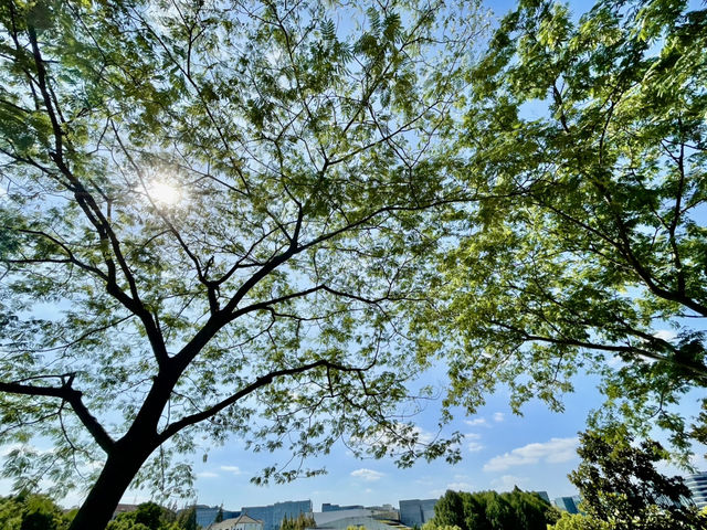 【上海・闵行文化公園】青い建物と池が印象的