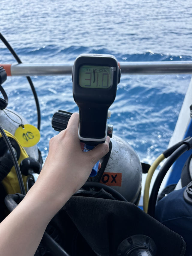人生第一次船宿⛴️ 斯米蘭群島🏝️🤿