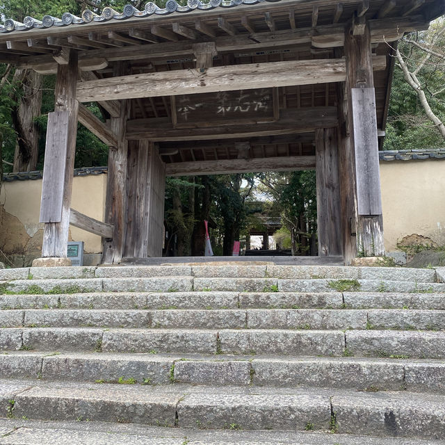 【山口県下関市長府🇯🇵功山寺】見どころたくさん☺️長府巡り