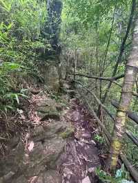 Gaoligong Mountain: Where Beauty and Biodiversity Meet