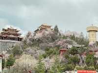 เที่ยว วัดกุยซาน แชงกรีล่า 🇨🇳