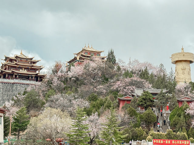 เที่ยว วัดกุยซาน แชงกรีล่า 🇨🇳
