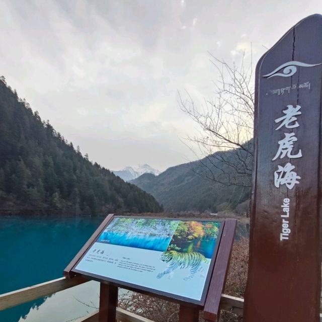Sapphire Reflections of the icy mountain: The Enchanting Tiger Lake and Five Flower Lake
