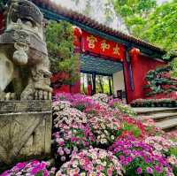 KUNMING | GOLDEN TEMPLE PARK