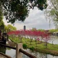 ZHEJIANG | WUZHEN WATER TOWN