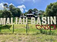 🌿 Maliau Basin: The Lost World Adventure You NEED to Try! 🦎
