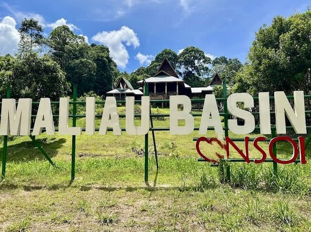 🌿 Maliau Basin: The Lost World Adventure You NEED to Try! 🦎