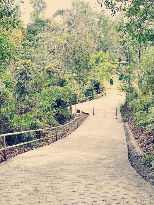 My Wild (& Slightly Sweaty) Adventure in Sandakan Rainforest Park 🌿🐒