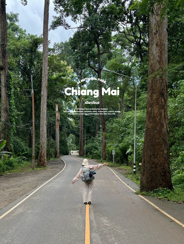 พิกัดเที่ยวอุทยานแห่งชาติ จ.เชียงใหม่ ⛰️🌦️🌳🍃