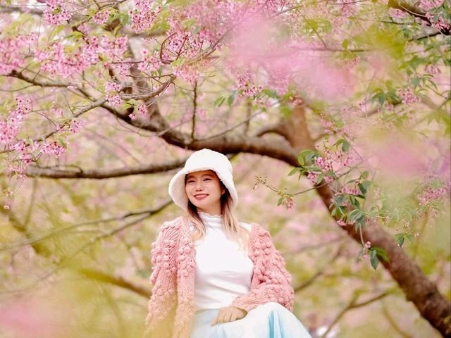 สวนลุงเปา ขุนวาง เชียงใหม่