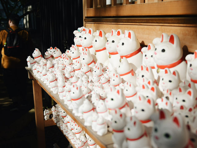 東京🇯🇵日本最萌貓咪神社⛩️豪德寺🐱