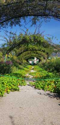 🎨 Fondation Monet in Giverny – 모네의 정원, 꿈같은 아침