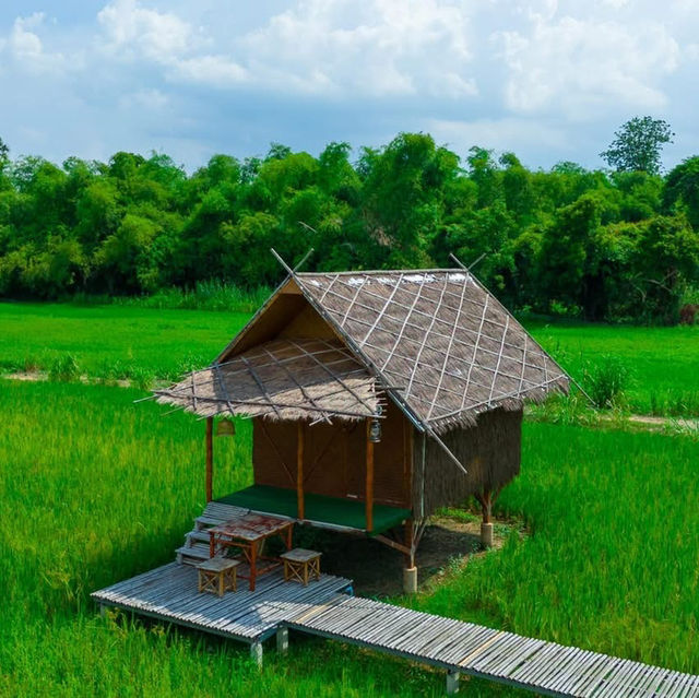 ที่ปลายนาตากับยาย อุทัยธานี