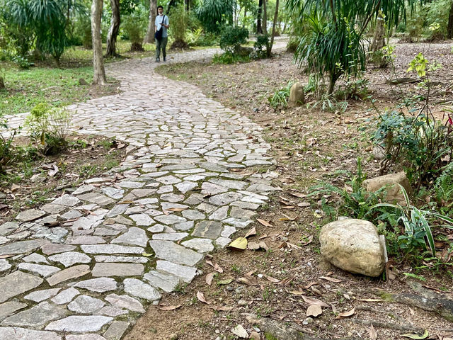 置身和式庭園🌷🦜體驗鳥語花香✨大埔海濱公園🏞️