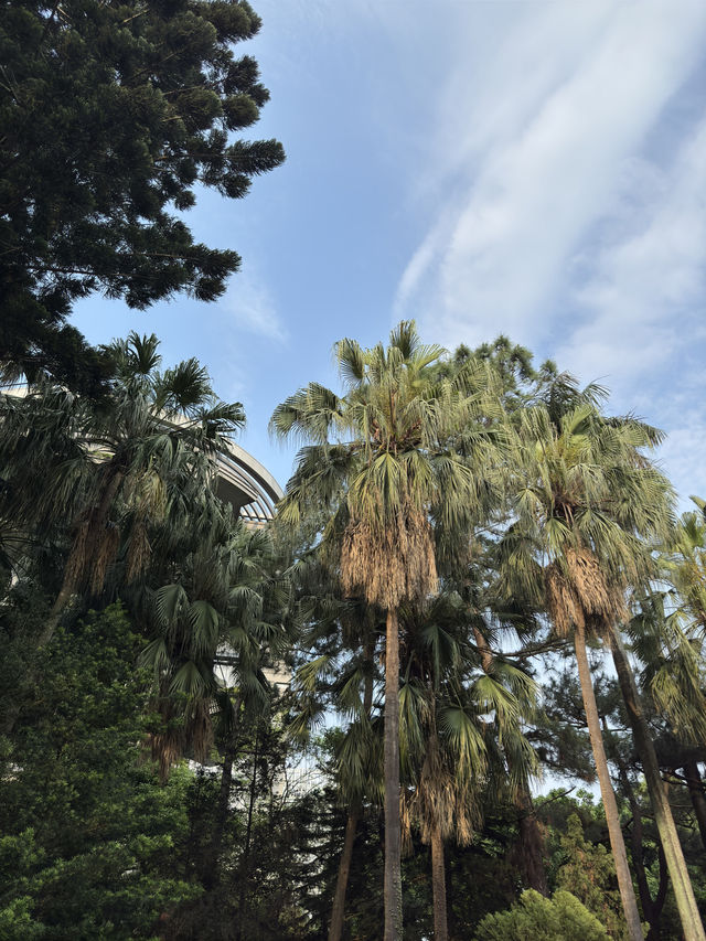 台北｜臺北植物園｜綠意盎然的城市綠洲