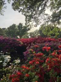 【都内で自然さんぽ】神代植物公園