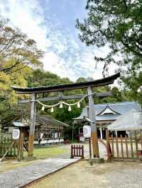 【徳島県】神祇氏族ゆかりの神社