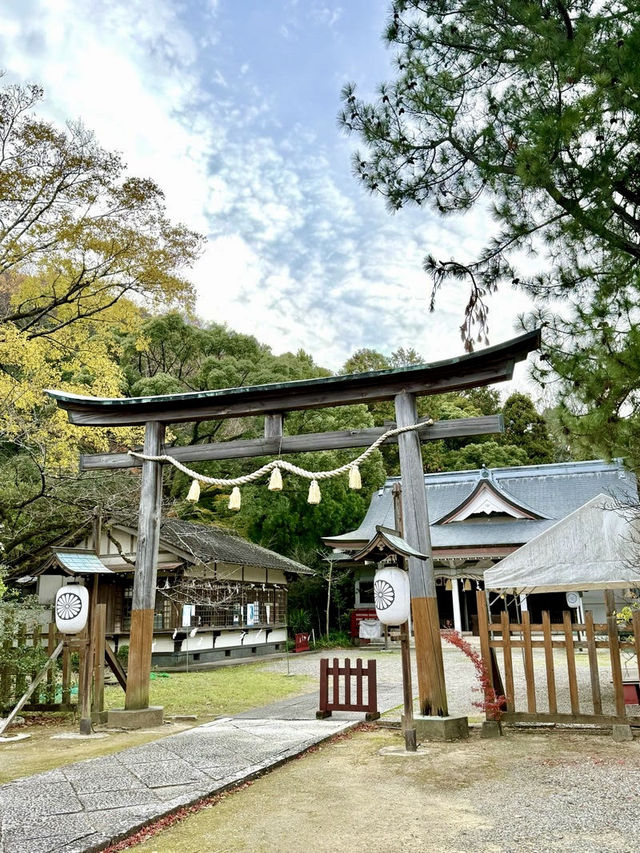 【徳島県】神祇氏族ゆかりの神社
