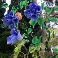 【箱根🇯🇵】キラキラと輝く✨ ガラスの森美術館