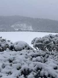 Winter wonderlanc