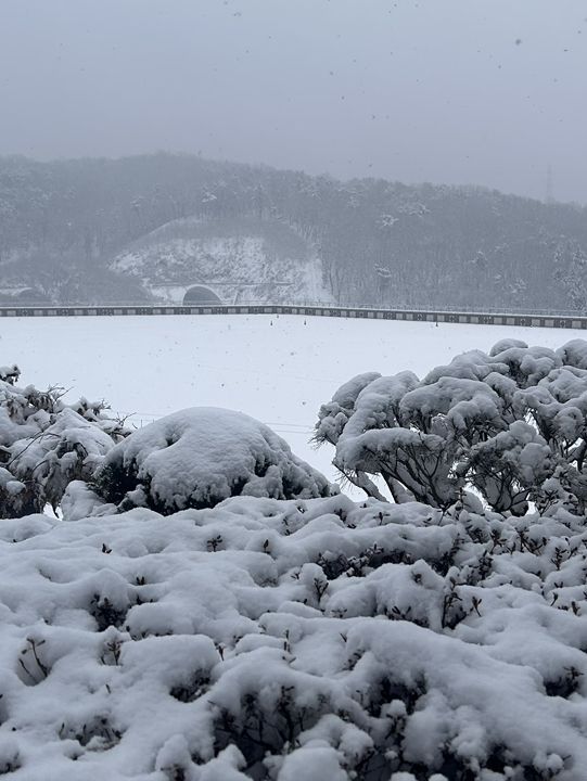 Winter wonderlanc