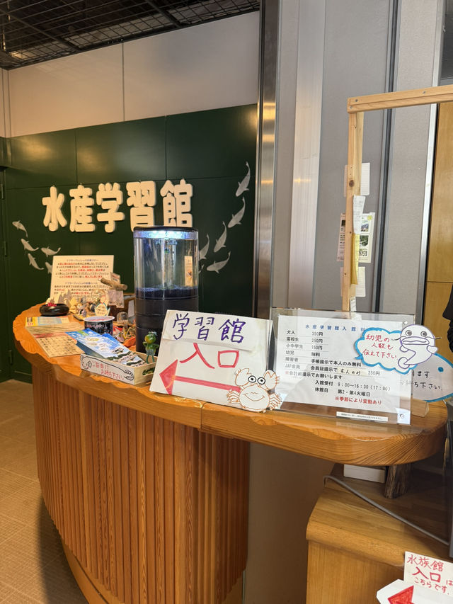 水と自然を満喫できる「道の駅 みなかみ水紀行館」—家族で楽しめる体験型スポット