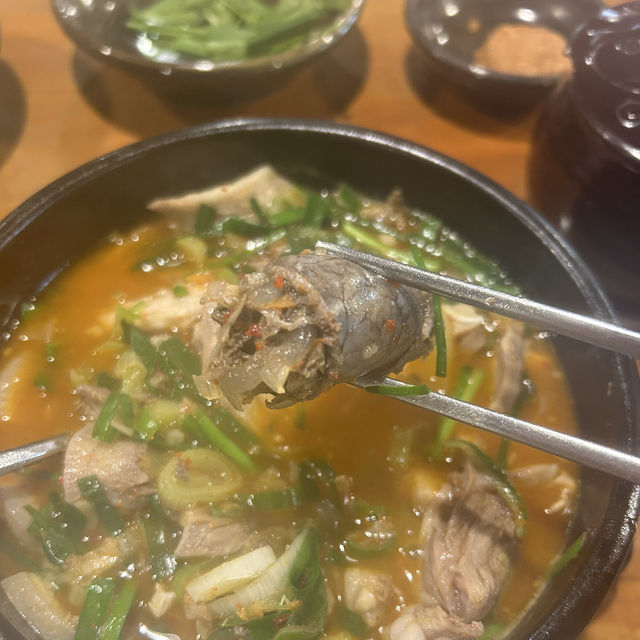 【🇰🇷：市庁】韓国人が並ぶスンデクッのお店🐽