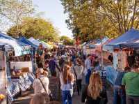 🌆✨ Brisbane City Centre Spring Getaway: Urban Oasis in 48 Hours