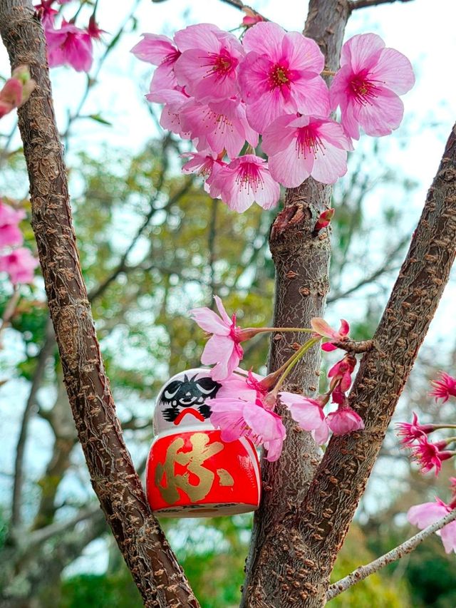 大阪勝尾寺🧧人氣祈福🙏，打卡寺院