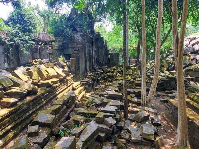 ラピュタの世界が現実に！ベンメリアで体感する神秘の遺跡旅