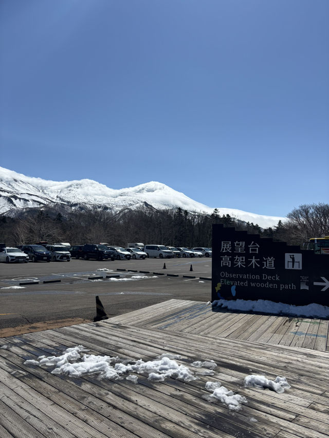 【世界遺産】知床五湖・高架木道で絶景散策！