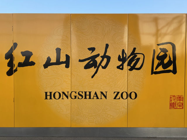 城市裡的綠色祕境：南京紅山森林動物園深度體驗