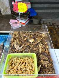 江門美食💕都斛海鮮街🦞新鮮又實惠