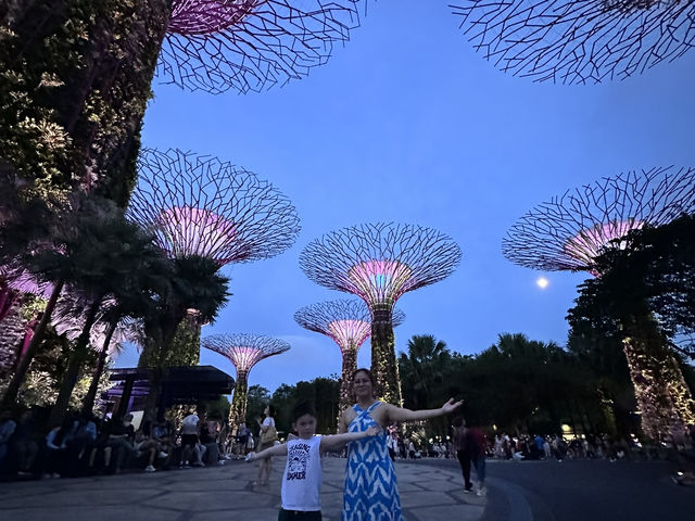 Gardens by the Bay: A Futuristic Oasis in the Heart of Singapore