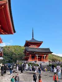 🪆Kiyomizu-dera Temple Review: A Timeless Icon with a View to Remember