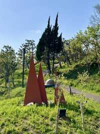 동해 추암 해변의 자연물과 🏞️멋진 조형작품의 조화를 볼 수 있는 동해 산책여행코스