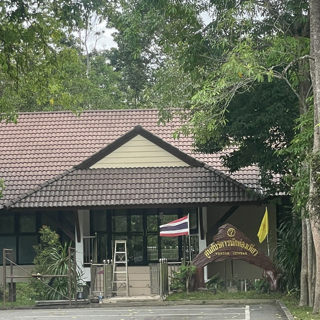 เที่ยวชมนก ดูบัวที่หนองปลักพระยา (นกน้ำ สตูล)