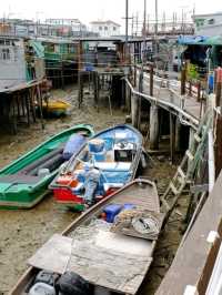 🎣🐟 A Day in Tai O: Hong Kong’s Hidden Fishing Paradise! 🛶🌊