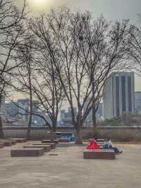 A Royal Winter Stroll: Discovering Gyeongbokgung Palace in December