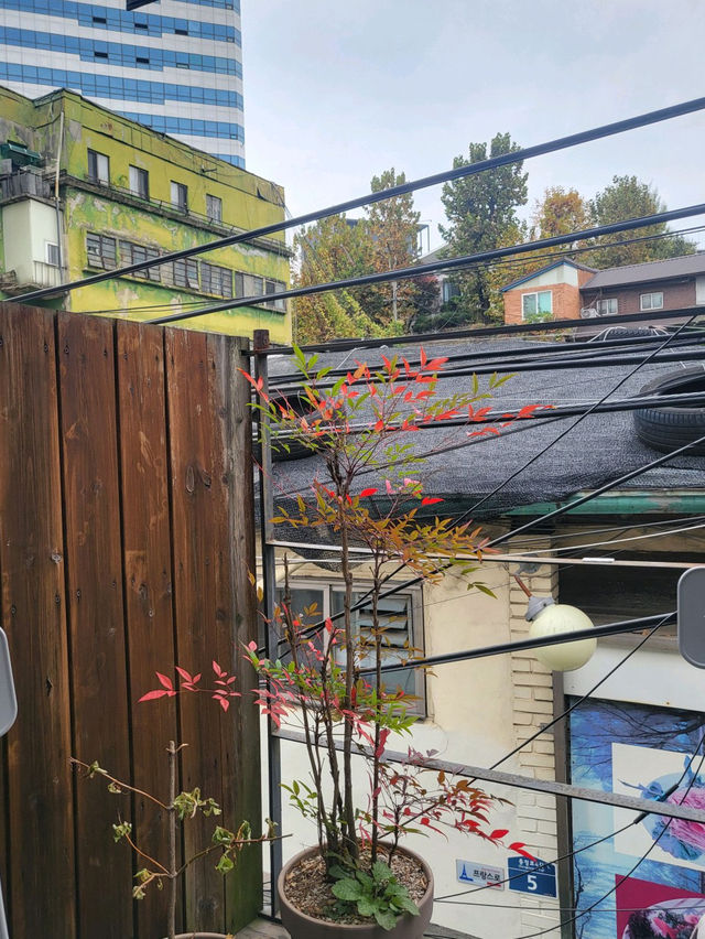 🫶🏻🍅[서울/충정로3가] 램미커피 (Lemme coffee)