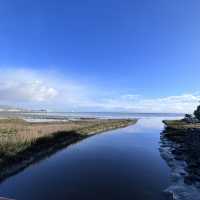 Something different to do in SFO Long Layover with Spectacular Aviation view & Bayfront Walk.