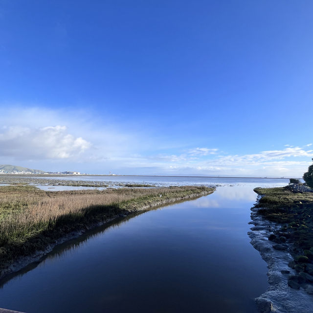 Something different to do in SFO Long Layover with Spectacular Aviation view & Bayfront Walk.