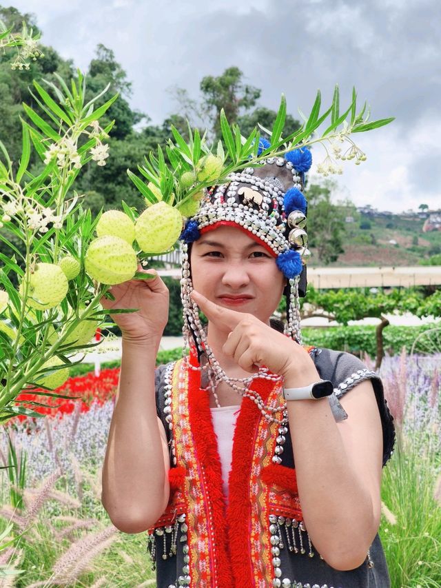 สวนอีเดน รีสอร์ท @ม่อนแจ่ม เชียงใหม่