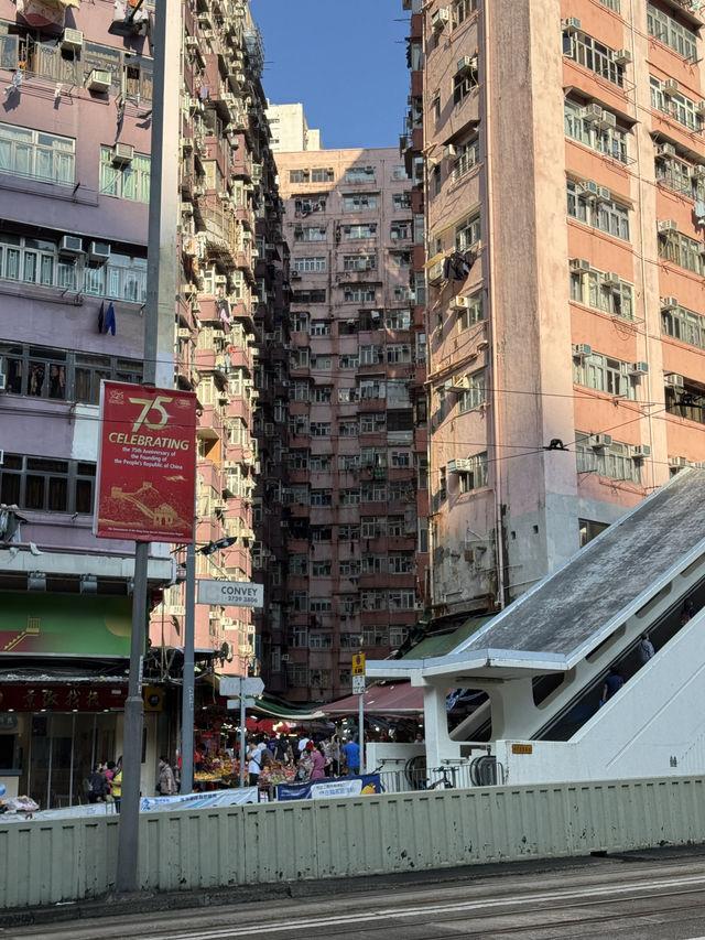 홍콩 익청빌딩🌇 홍콩 익청빌딩🌇