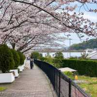 Nature Escape in the Middle of Town
