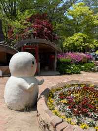 Day Trip to Nami Island 🇰🇷