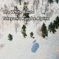 The white route : Tateyama Kurobe Alpine