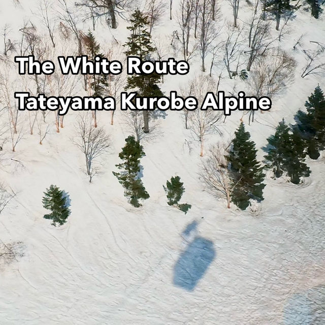 The white route : Tateyama Kurobe Alpine
