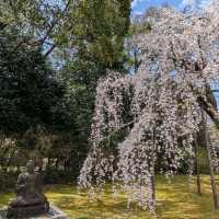 Temple that Big, Chill, and Super Scenic